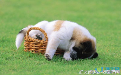 关于美句的句子