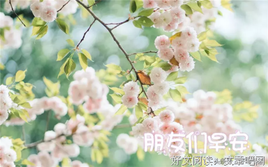 好经典的句子
