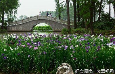 《栀子花开》的句子