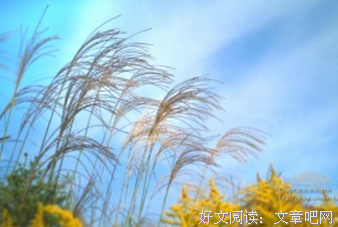 那些过往的优美句子