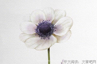 名人哲理的优美句子