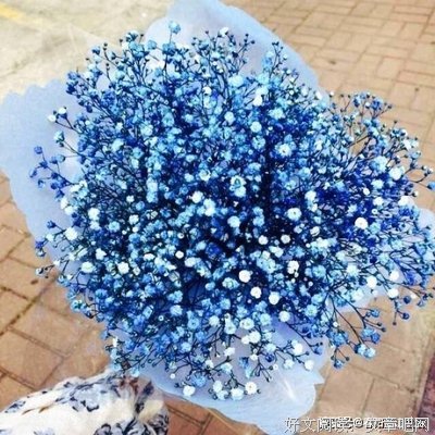 走进心灵的句子