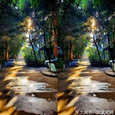 微尘与海•微尘海句子