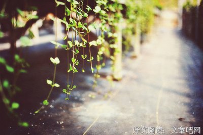 既然琴瑟起句子大全