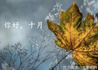 感谢这一路来努力的自己经典的句子