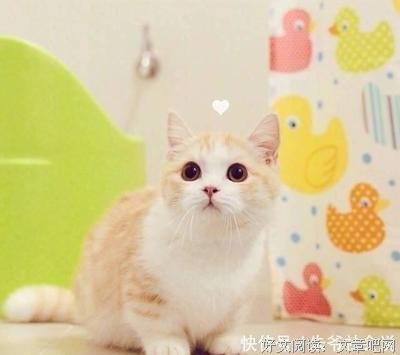 2021特里·伊格尔顿名人名言
