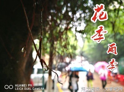 最全的《花季雨季》语录摘抄