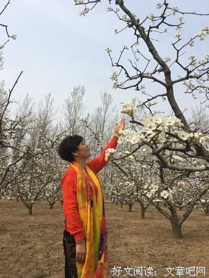 最全的《花样年华》经典的句子