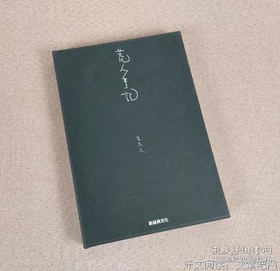最全的《荒人手记》经典的句子大全