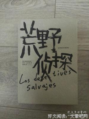 最全的《荒野侦探》佳句摘抄大全