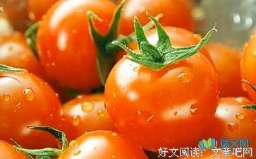 《高效清单工作法：聪明人的无压时间管理手册》读后感精选