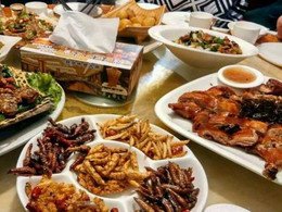道事看会地能开远得道事作他走九歌的句子