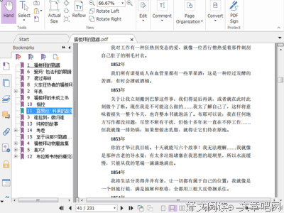 福楼拜的鹦鹉读后感锦集