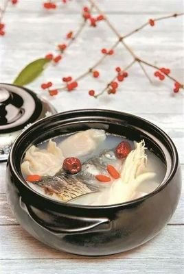 《知鱼之乐》读后感锦集