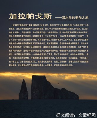 海怪简史读后感1000字