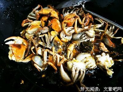 章鱼小香肠双胞胎读后感摘抄