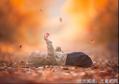 《有如走路的速度》读后感摘抄