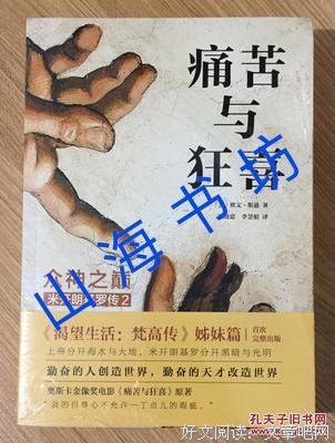 《痛苦与狂喜：众神之巅》读后感100字
