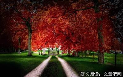 《出发吧!和爸妈一起!》读后感100字