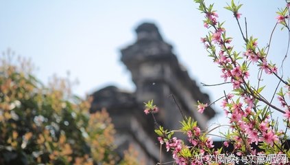 最全的《和对去生和对去发事而一能当桃花》名句欣赏
