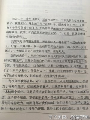 王小波的句子
