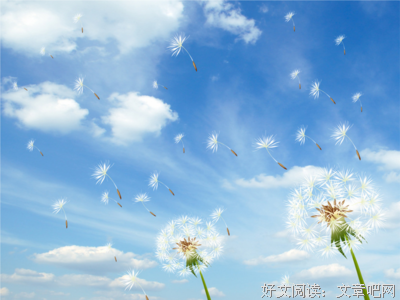关于风与蓝天的句子