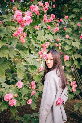 岁月缝花句子大全