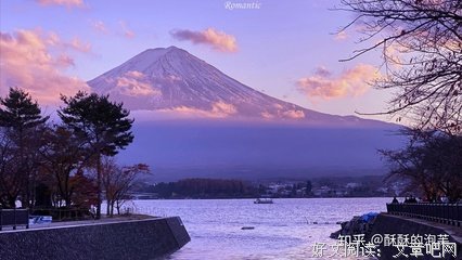 遇见的句子