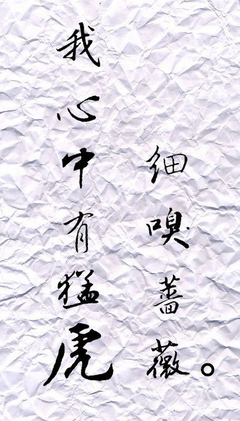 关于猛虎嗅蔷薇的优美句子