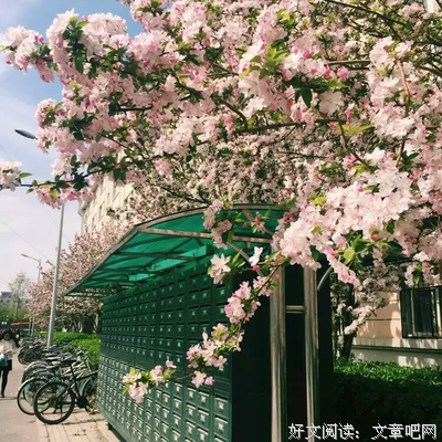 啊啊，，爱句子