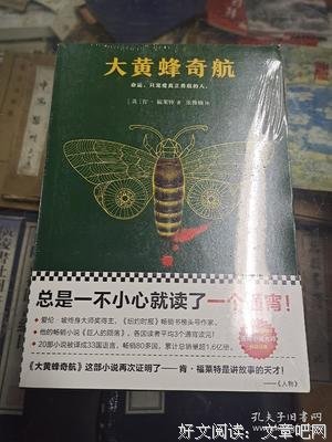 大黄蜂奇航读后感锦集