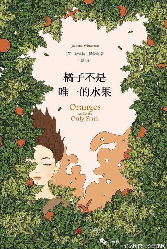 橘子不是唯一的水果读后感摘抄