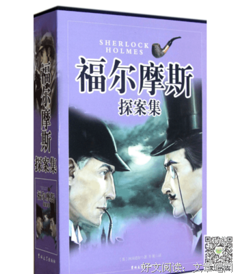 身為職業小說家读后感1000字