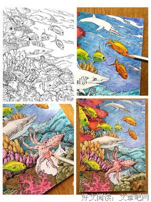 PICTURA神笔涂绘系列：仙境奇缘、海底秘境、仲夏夜之梦读后感精选