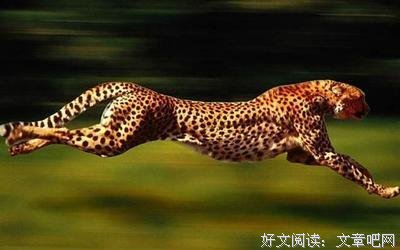 《蝎子之家》的读后感大全