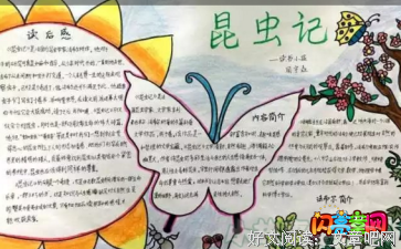 《那个不为人知的故事》读后感100字