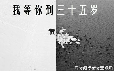 我等你到三十五岁读后感1000字