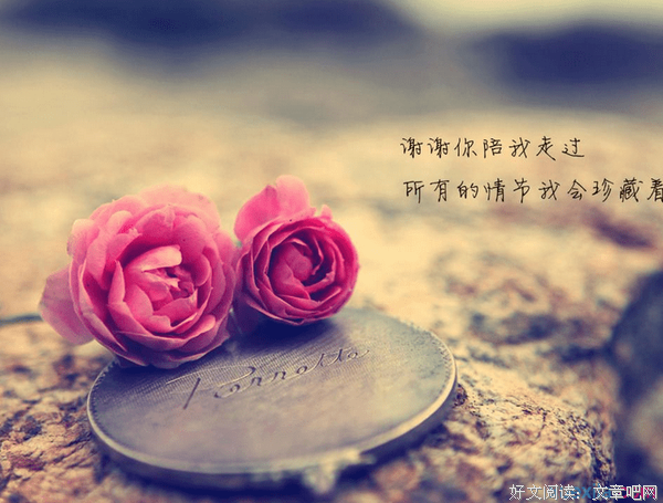英文句集的优美句子