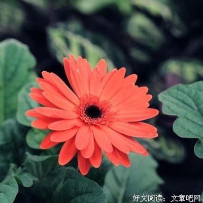和你在一起的日子优美的句子