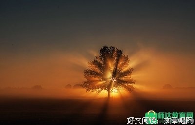 小说类的优美句子