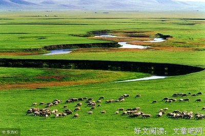 《悟》的句子