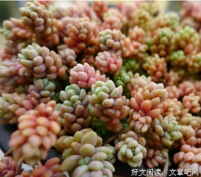 关于出上再格的细节的句子