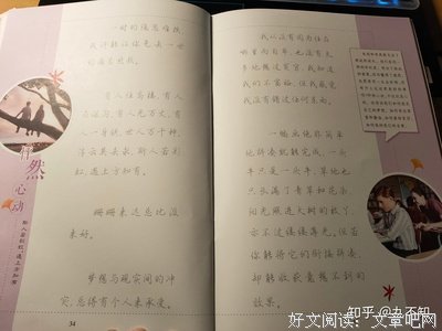 《枝桠》的句子