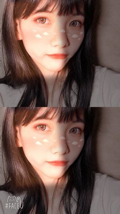 最全的《葬我以风》散文美句