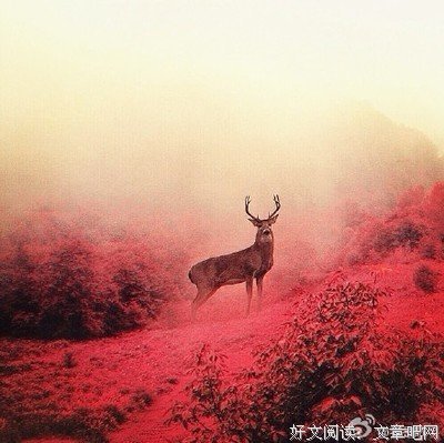 最全的《行走台湾》经典的句子大全