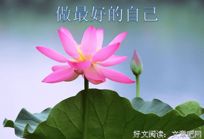 看见孩子，看见自己读后感锦集