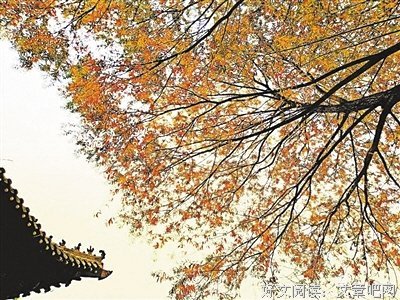《万物有灵：《诗经》里的草木鸟兽鱼虫》经典读后感有感