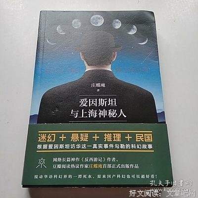 爱因斯坦与上海神秘人读后感摘抄