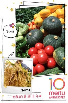 《关键20小时，快速学会任何技能！》读后感锦集