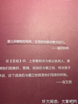 温尼科特传读后感1000字
